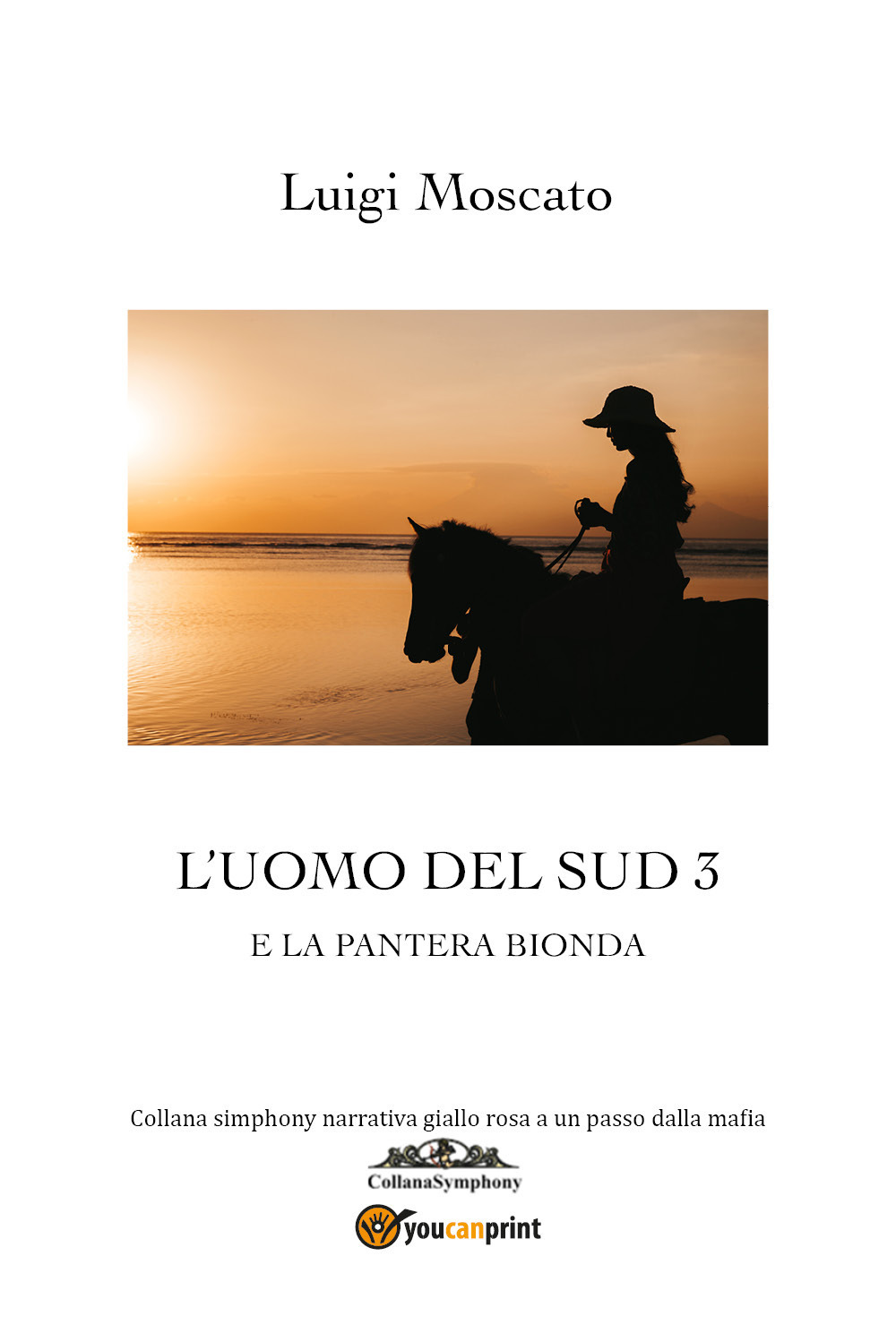 L'uomo che venne dal Sud e la pantera bionda. Vol. 3