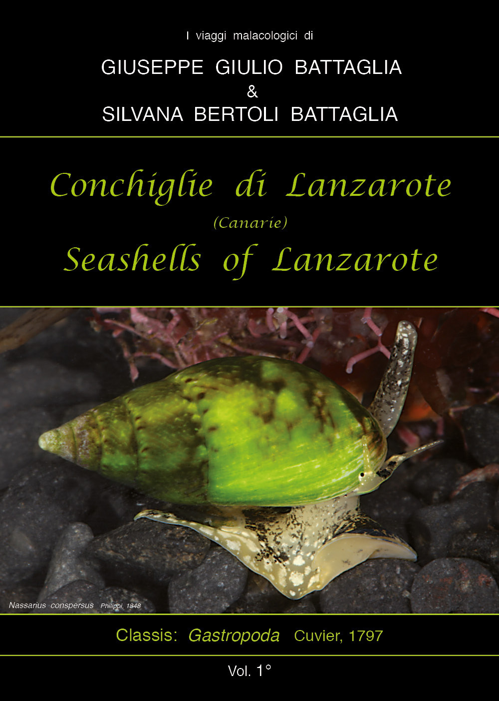 Conchiglie di Lanzarote-Seashells of Lanzarote. Ediz. bilingue. Vol. 1