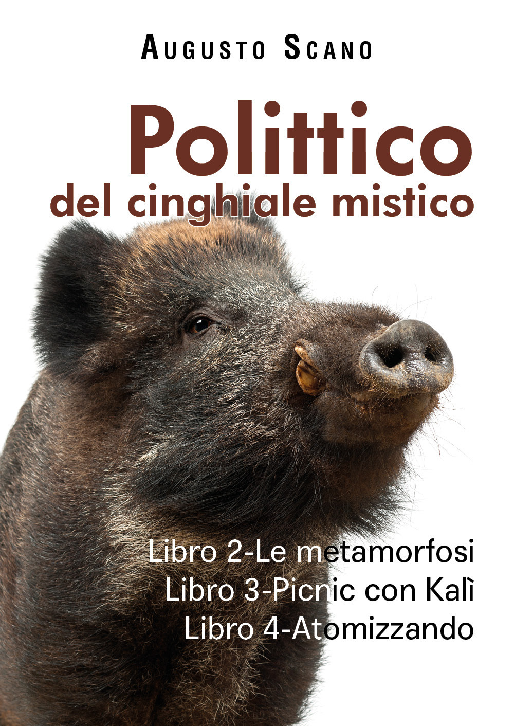 Polittico del cinghiale mistico. Vol. 2-3-4: Le metamorfosi-Picnic con Kalì-Atomizzando