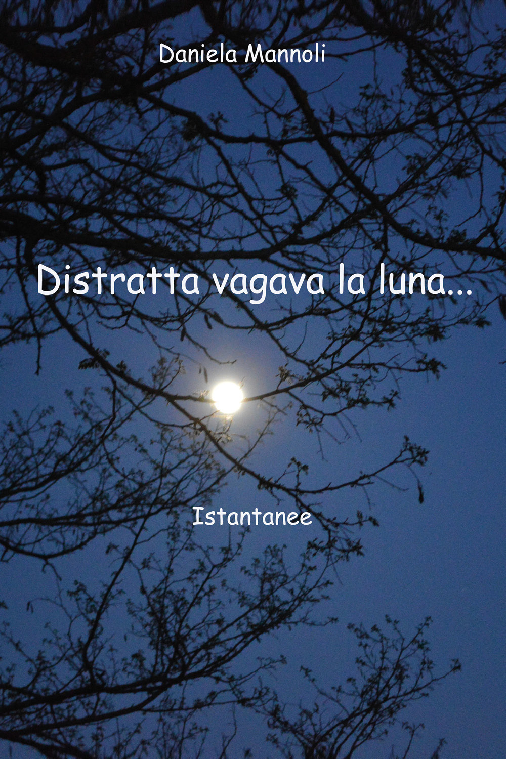 Distratta vagava la luna... Istantanee