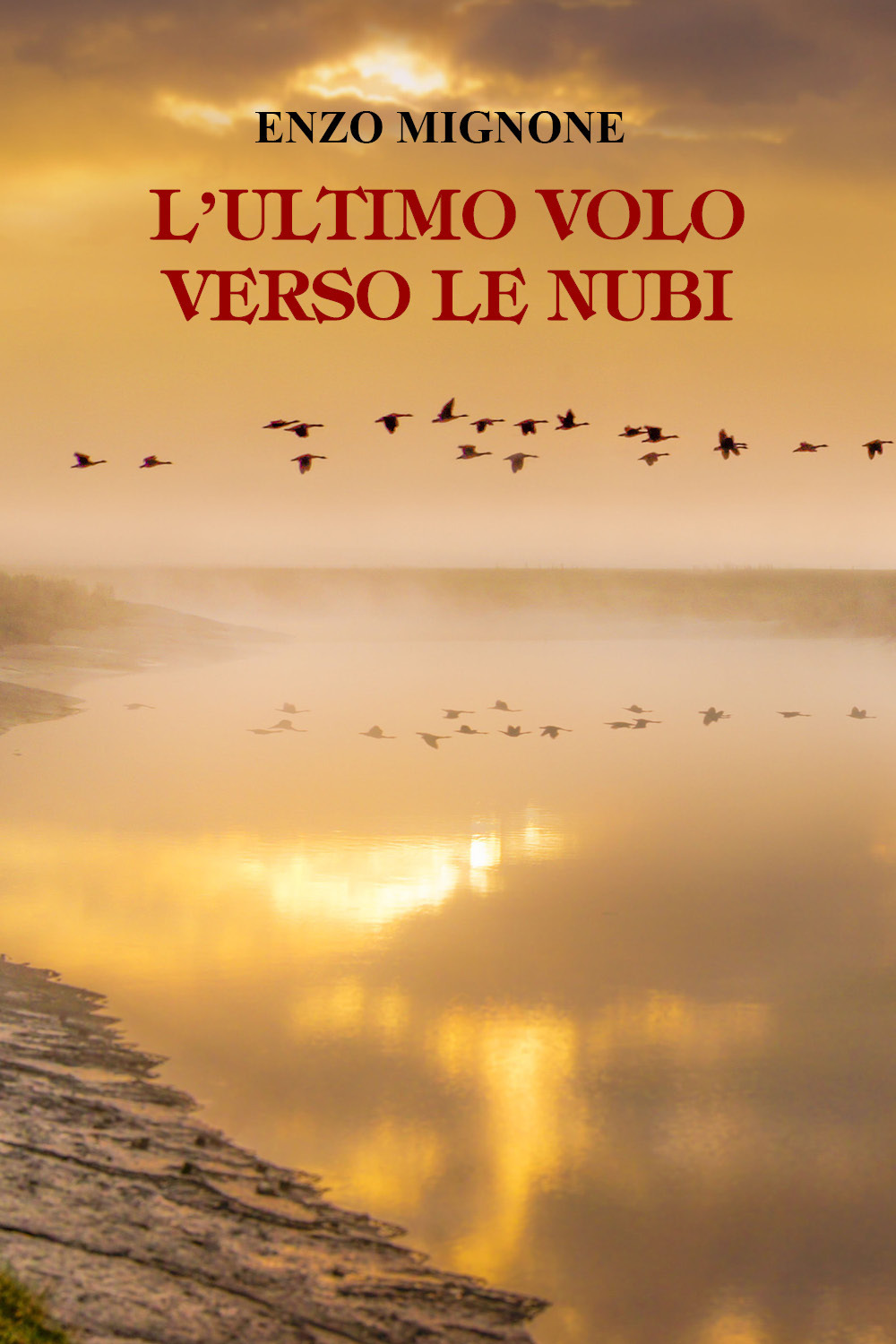 L'ultimo volo verso le nubi