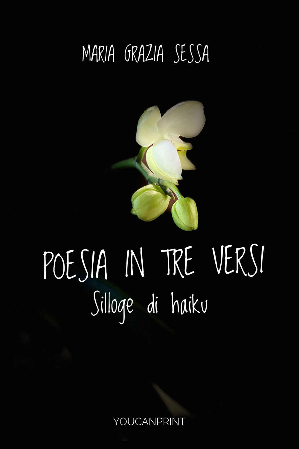 Poesia in tre versi. Silloge di Haiku