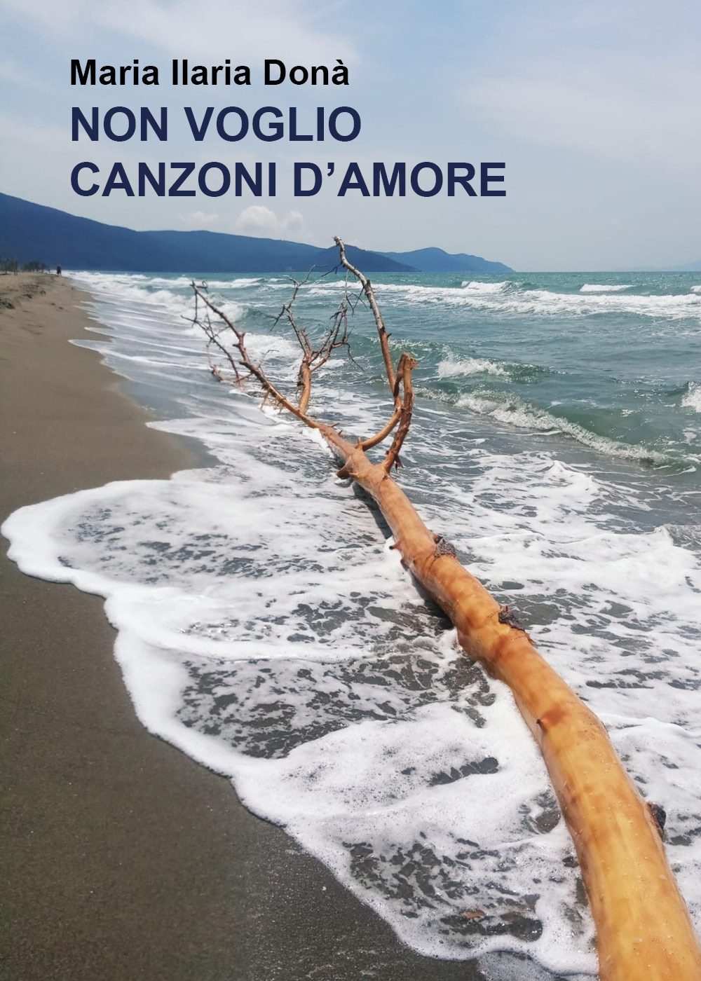 Non voglio canzoni d'amore