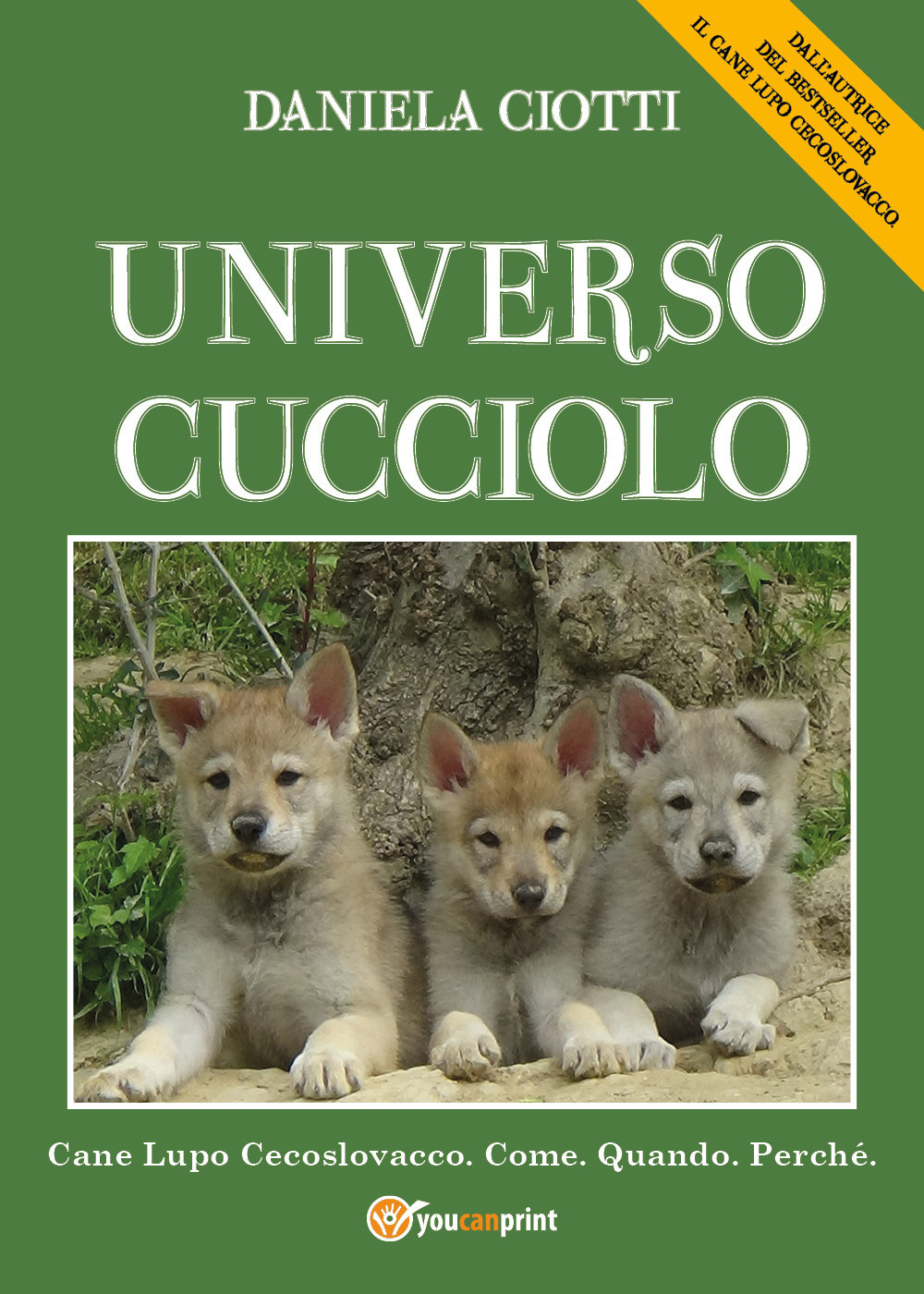 Universo cucciolo. Cane lupo cecoslovacco. Come. Quando. Perchè