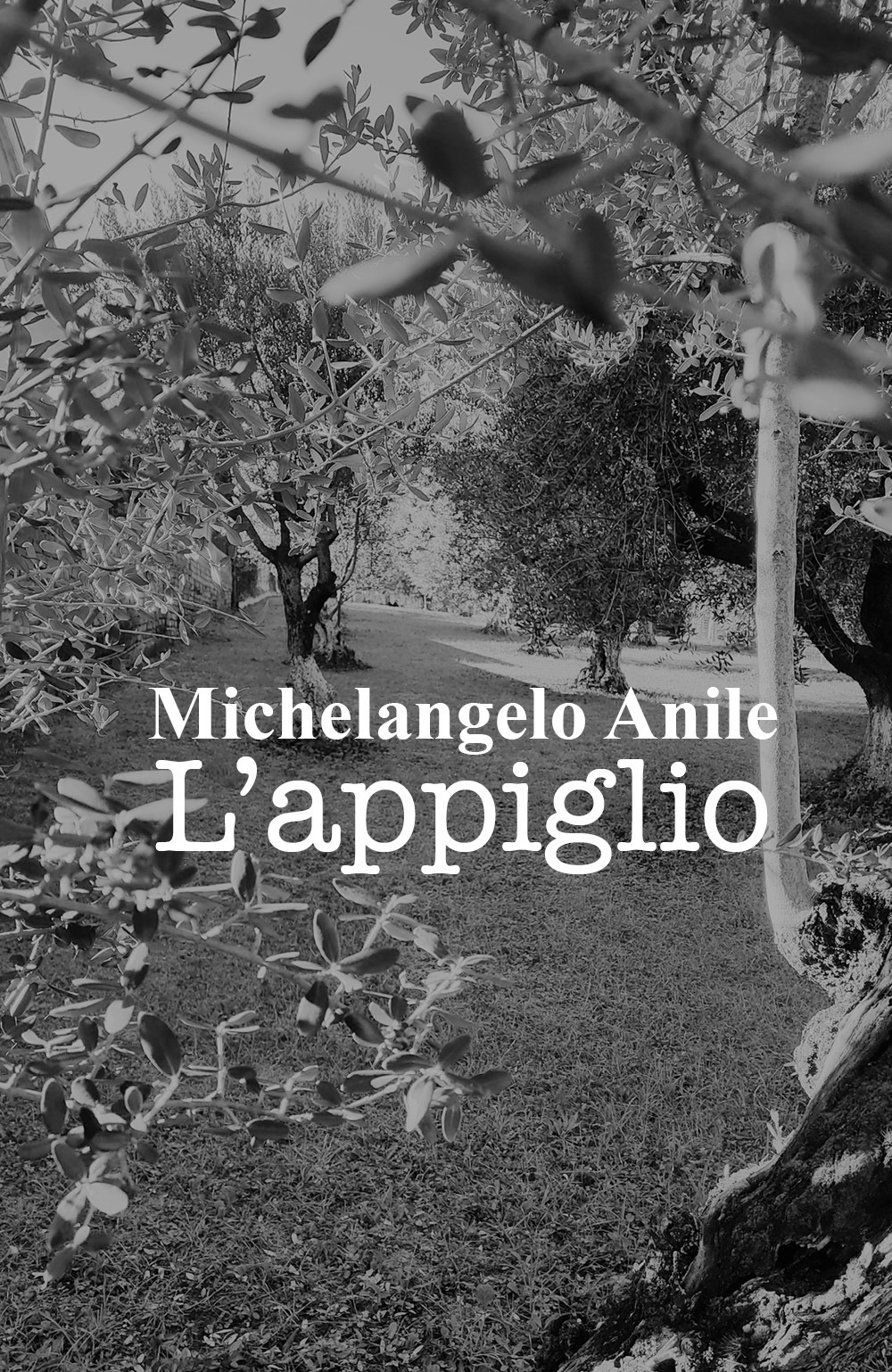 L'appiglio