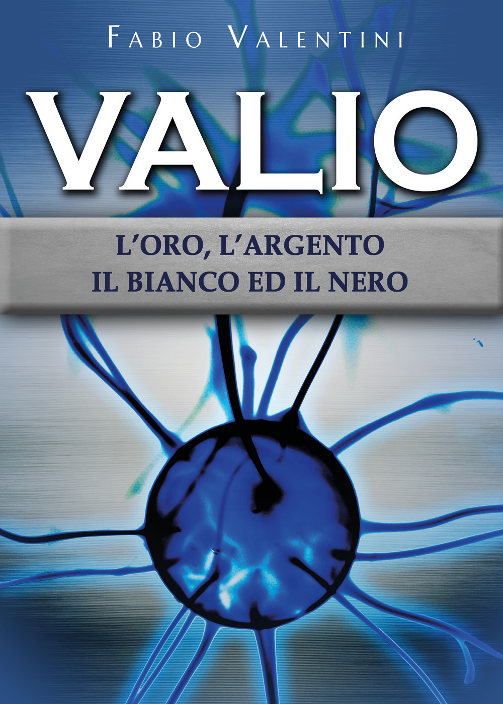 Valio. L'oro, l'argento, il bianco ed il nero. Vol. 2