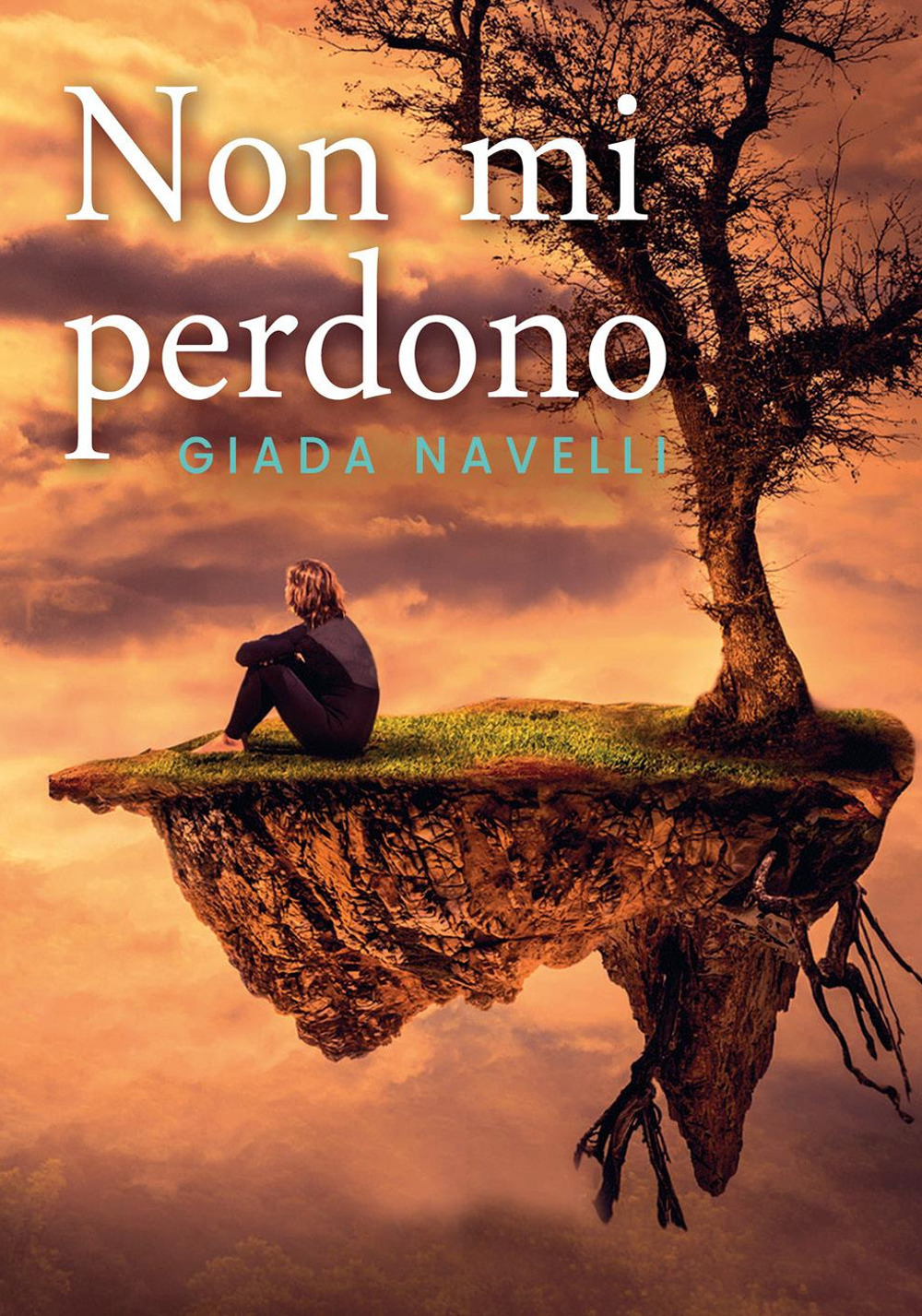 Non mi perdono