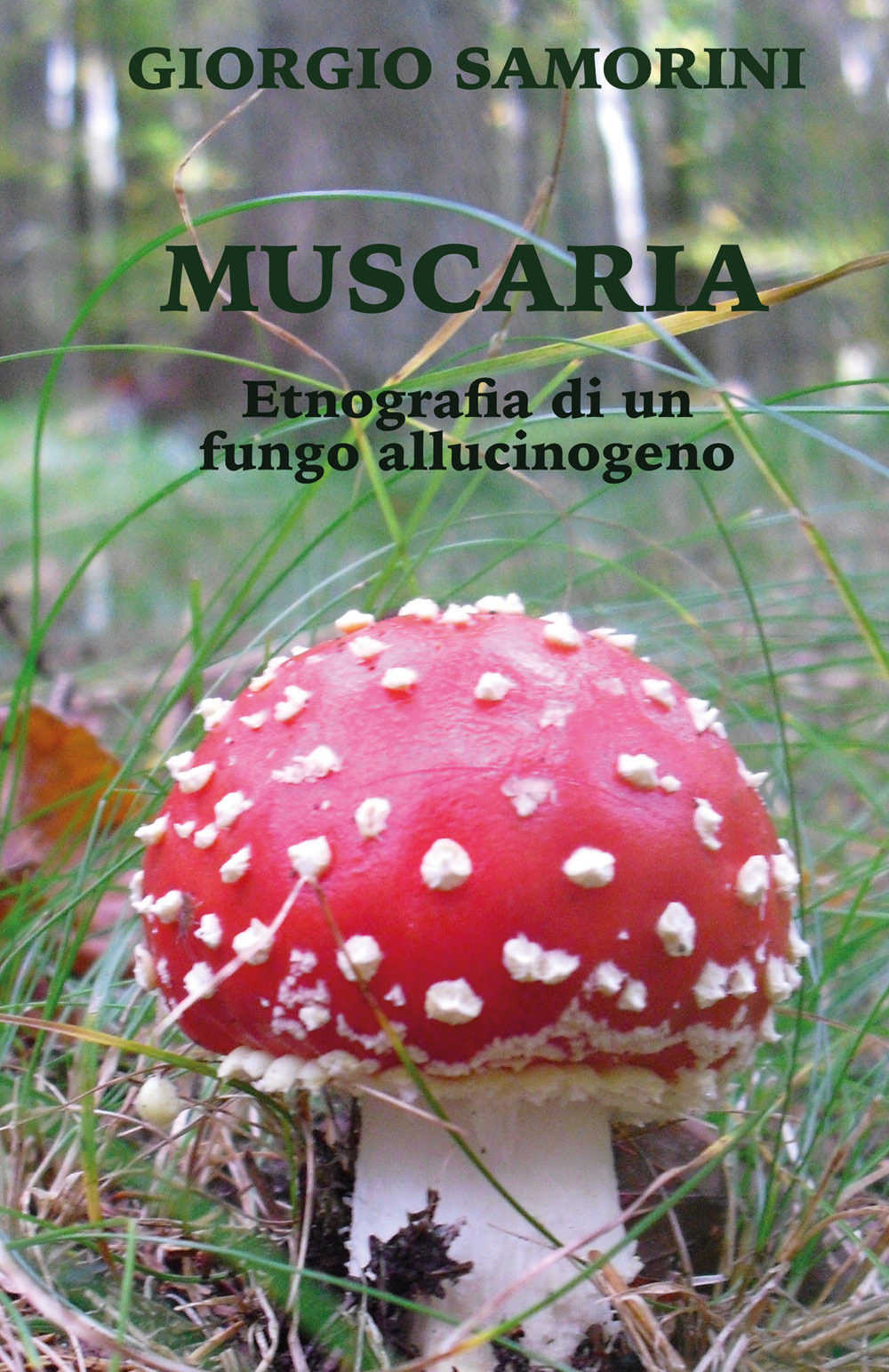 Muscaria. Etnografia di un fungo allucinogeno