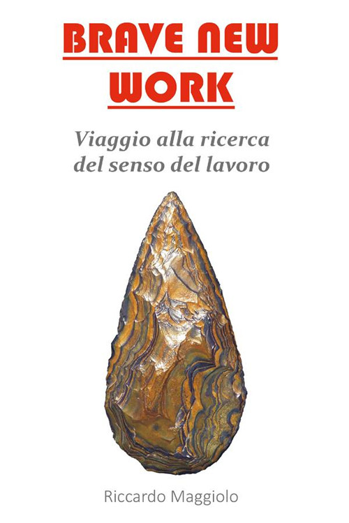 Brave new work. Viaggio alla ricerca del senso del lavoro