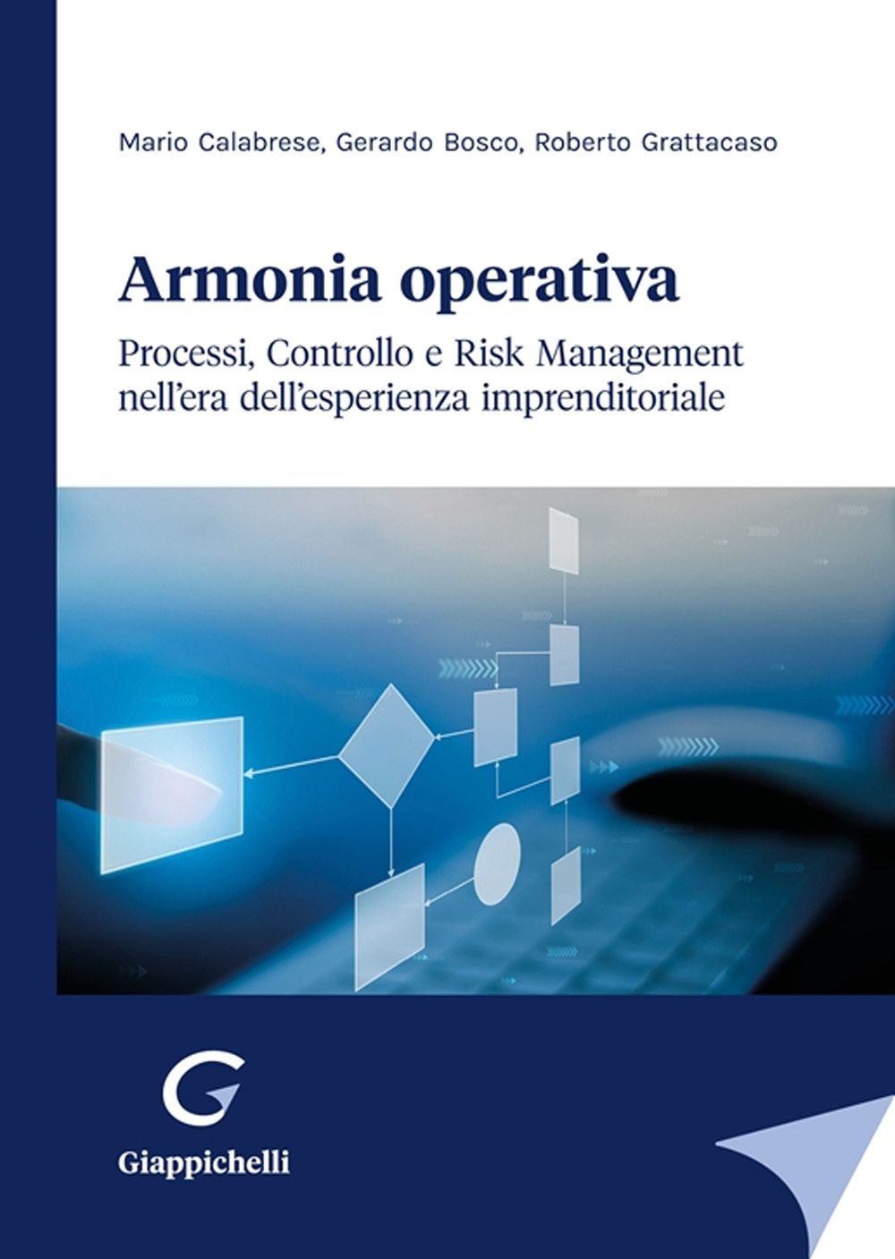 Armonia operativa. Processi, controllo e risk management nell'era dell'esperienza imprenditoriale