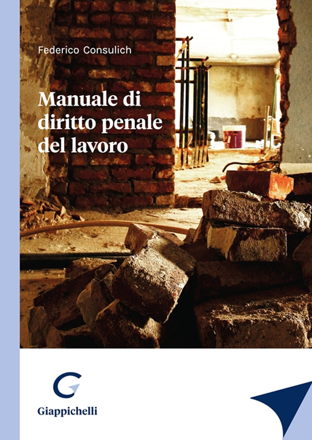 Manuale di diritto penale del lavoro