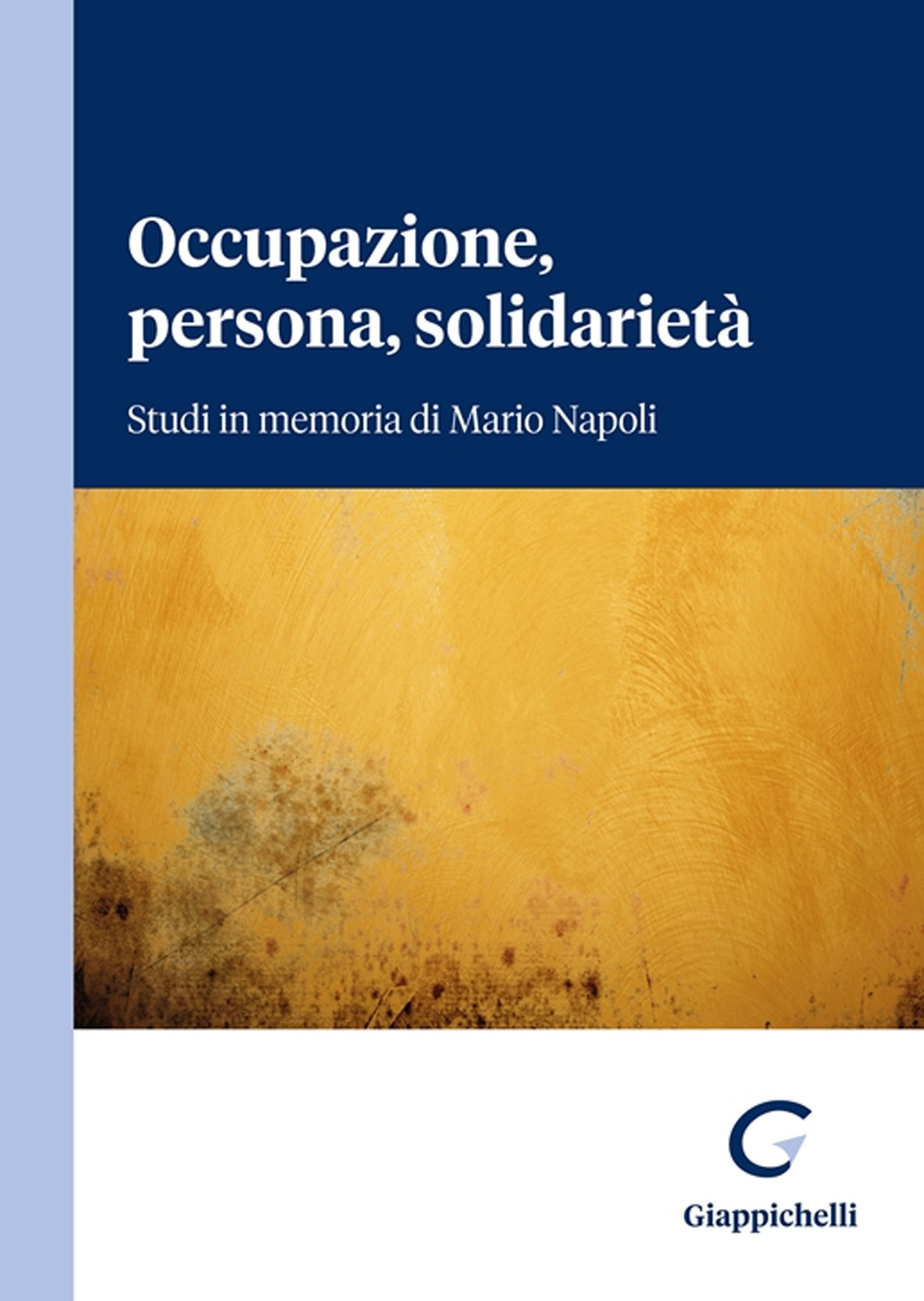 Occupazione, persona, solidarietà. Studi in memoria di Mario Napoli