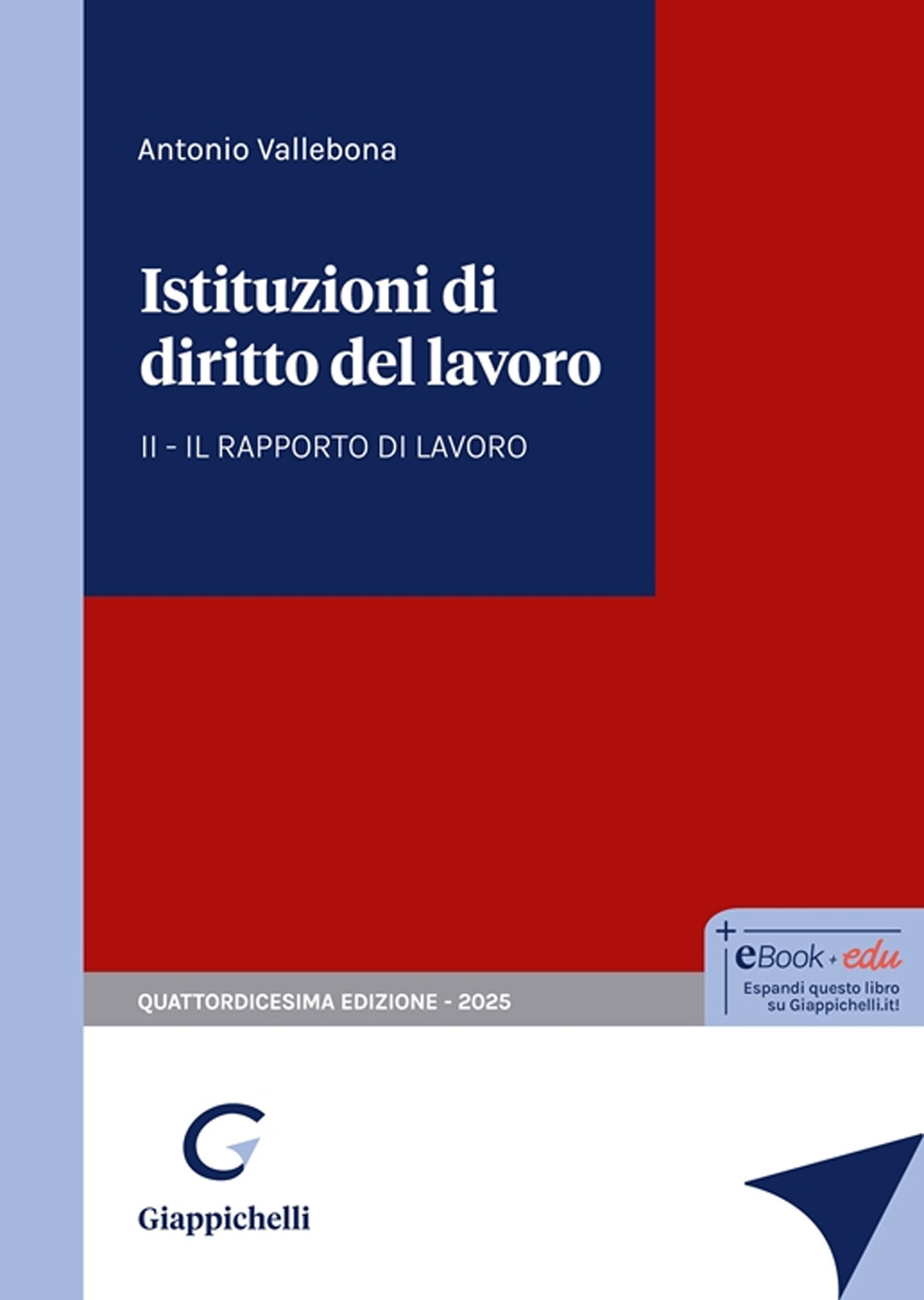 Istituzioni di diritto del lavoro. Vol. 2: Il rapporto di lavoro