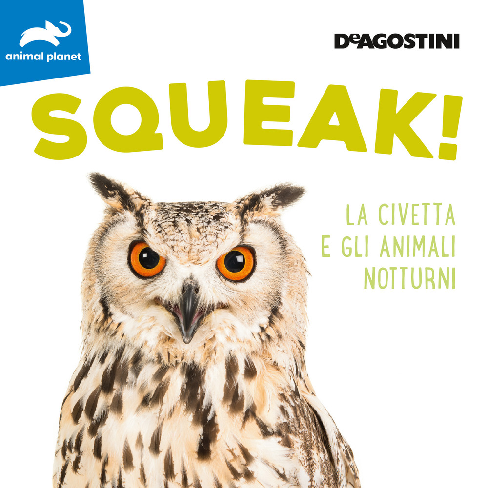 Squeak! La civetta e gli animali notturni. Ediz. illustrata