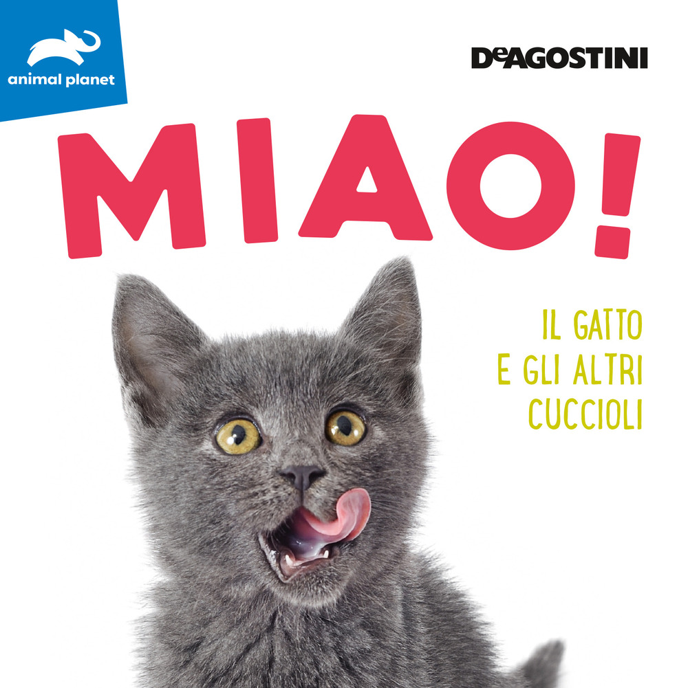 Miao! Il gatto e gli altri cuccioli. Ediz. illustrata