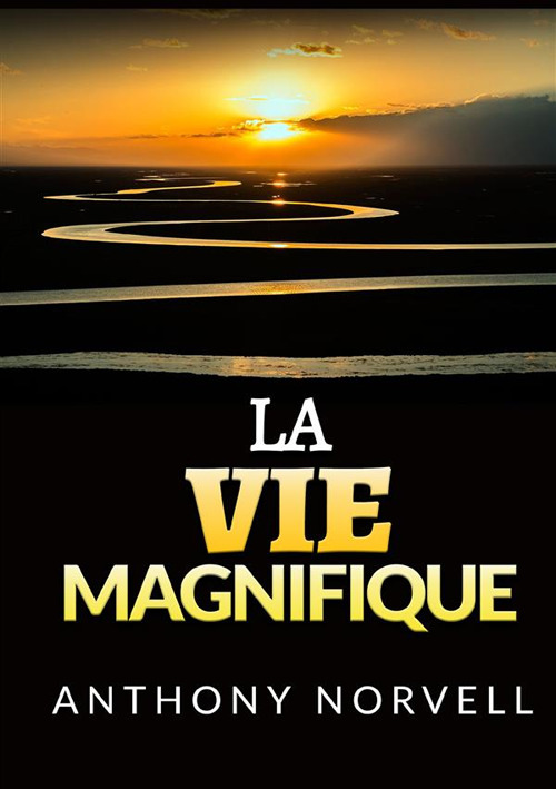 La vie magnifique