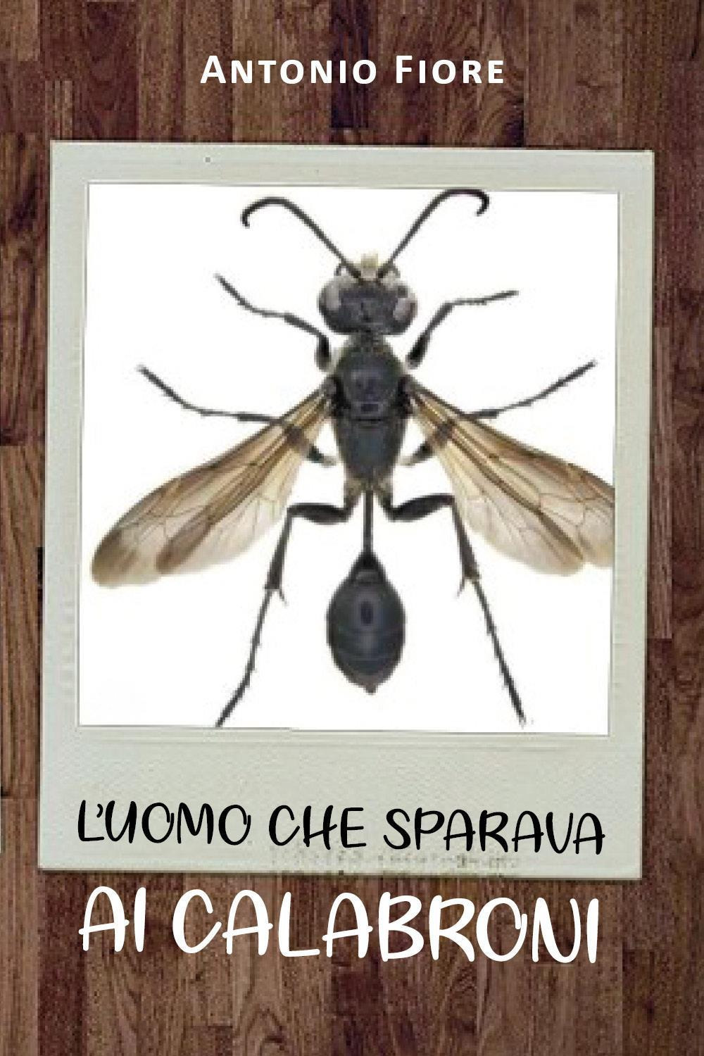 L'uomo che sparava ai calabroni