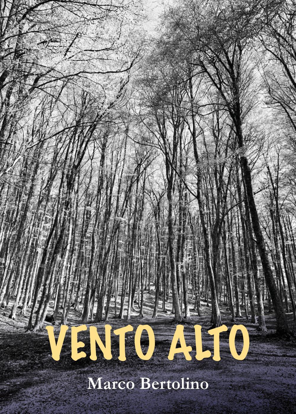 Vento alto