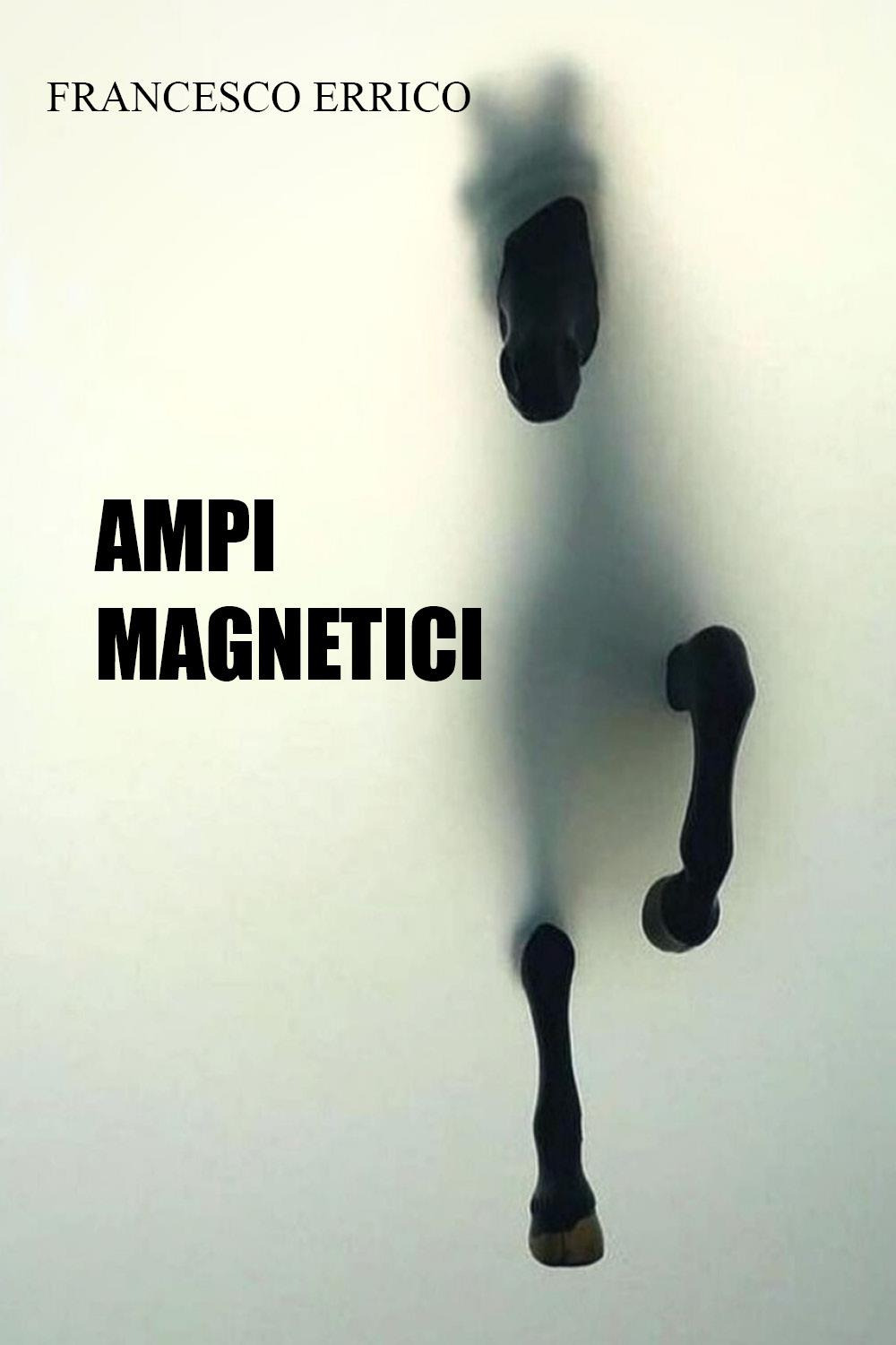 Ampi magnetici