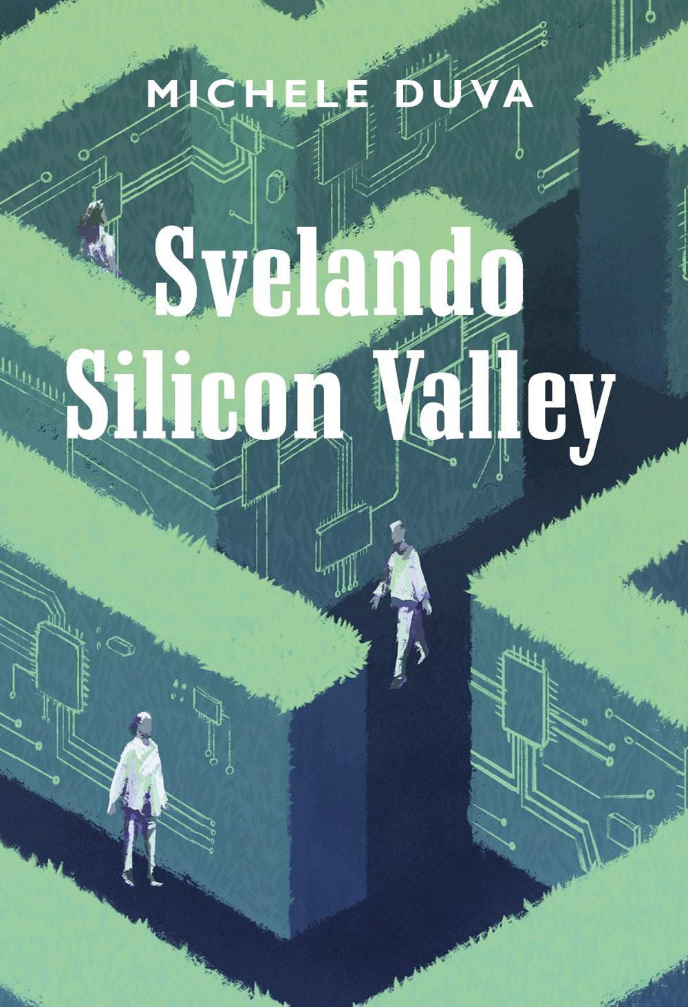 Svelando Silicon Valley