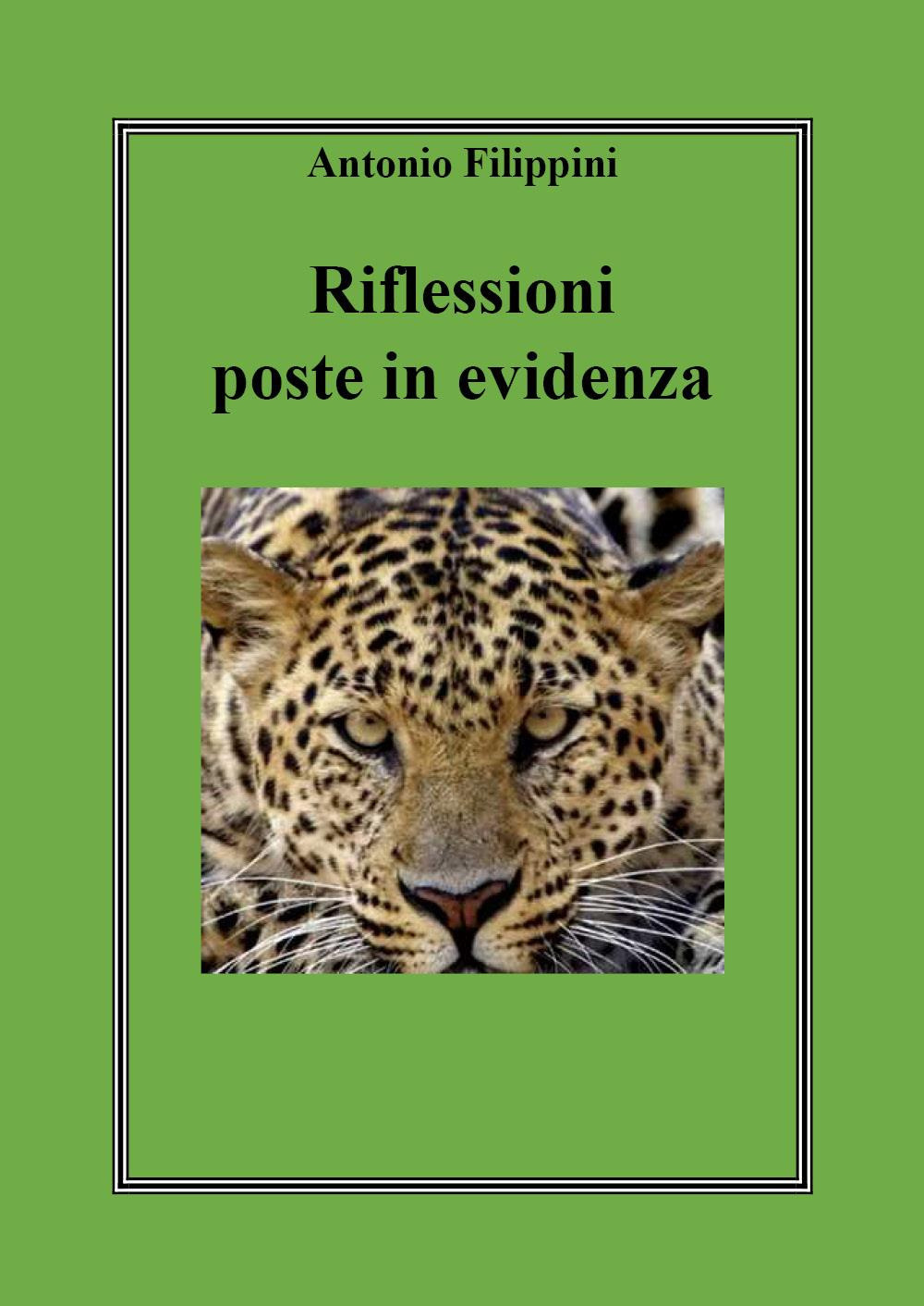 Riflessioni poste in evidenza