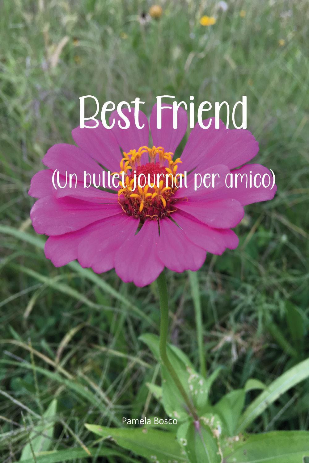 Best friend (un bullet journal per amico)