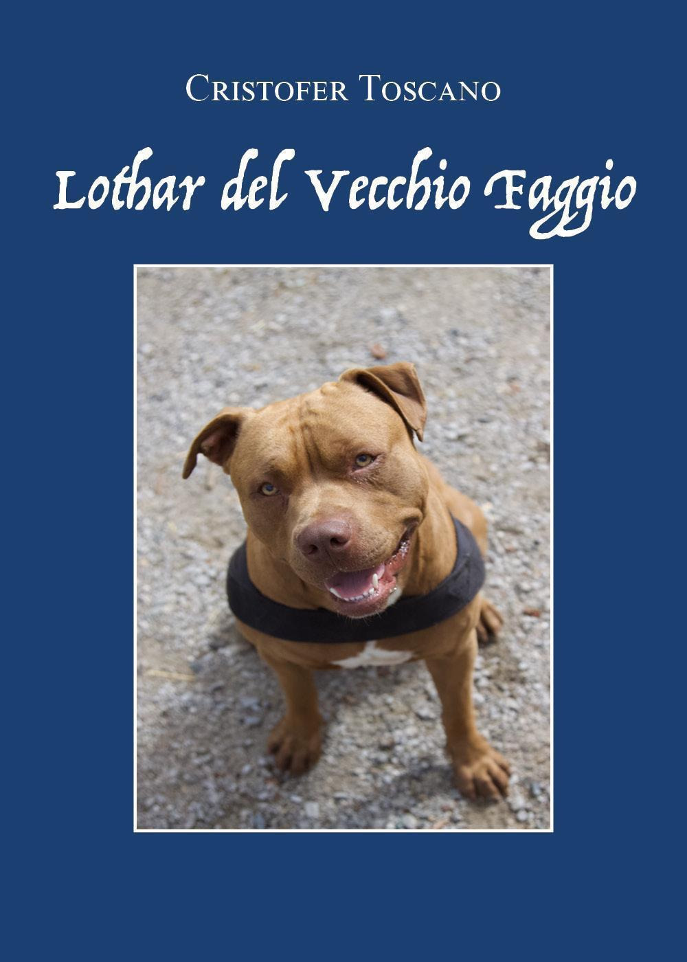 Lothar del Vecchio Faggio