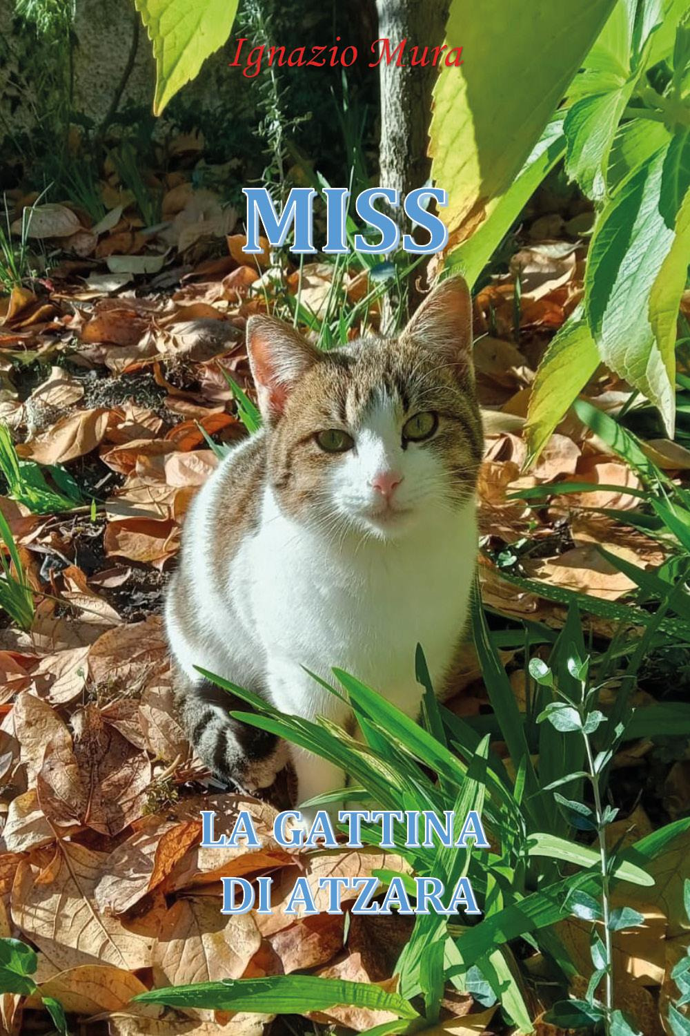 Miss. La gattina di Atzara