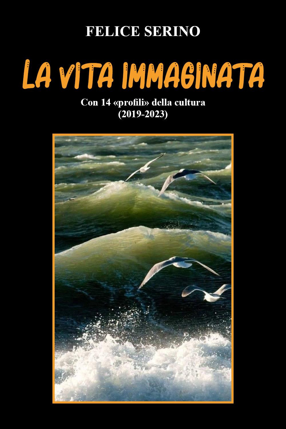 La vita immaginata