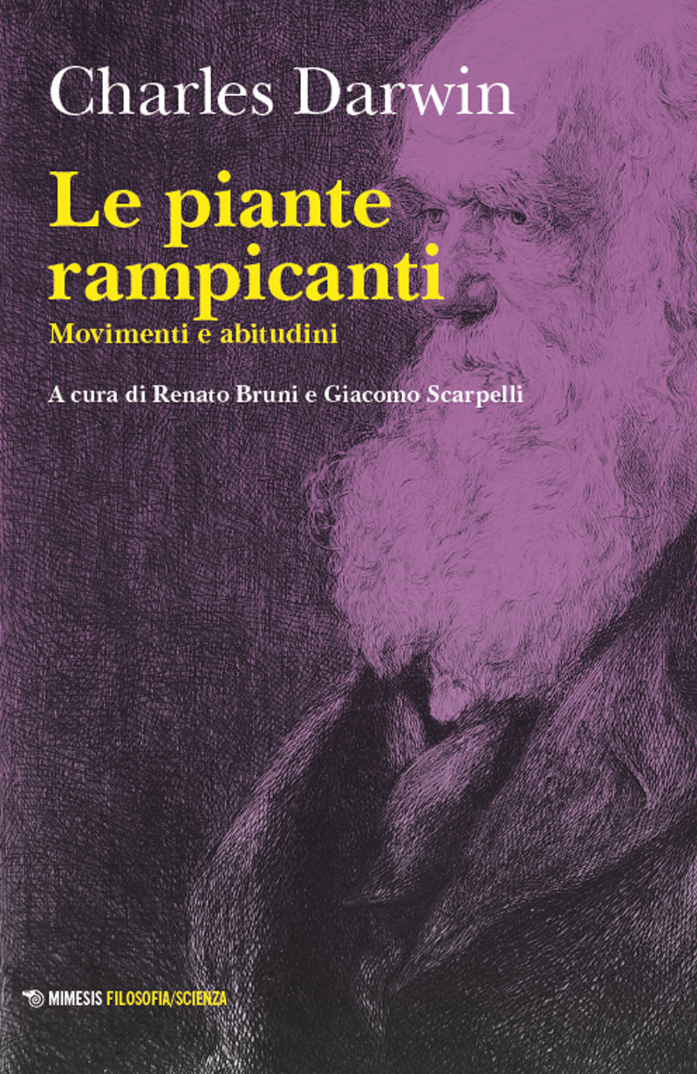 Le piante rampicanti. Movimenti e abitudini