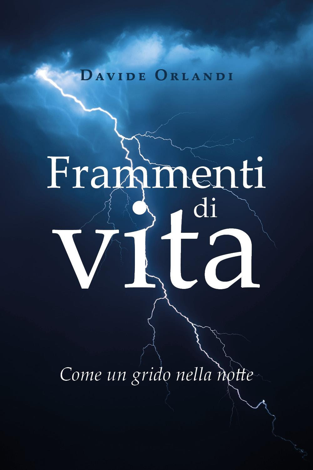 Frammenti di vita. Come un grido nella notte