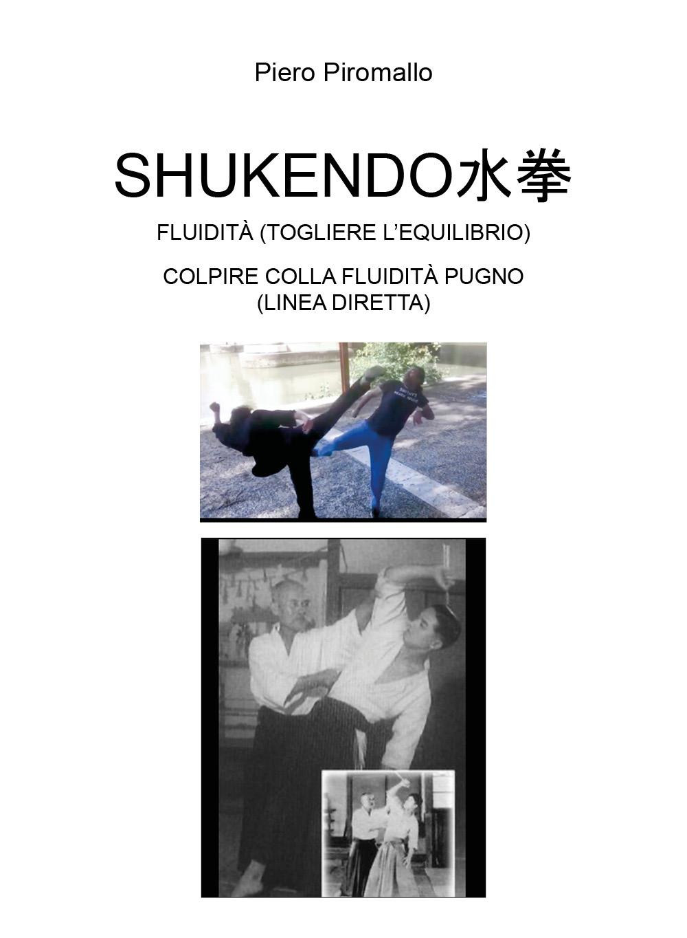 Shukendo. Fluidità (togliere l'equilibrio). Colpire colla fluidità pugno (linea diretta)