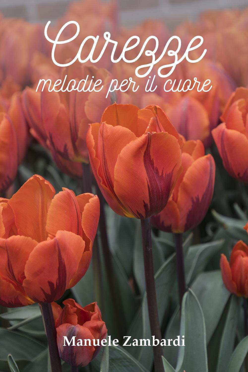 Carezze. Melodie per il cuore