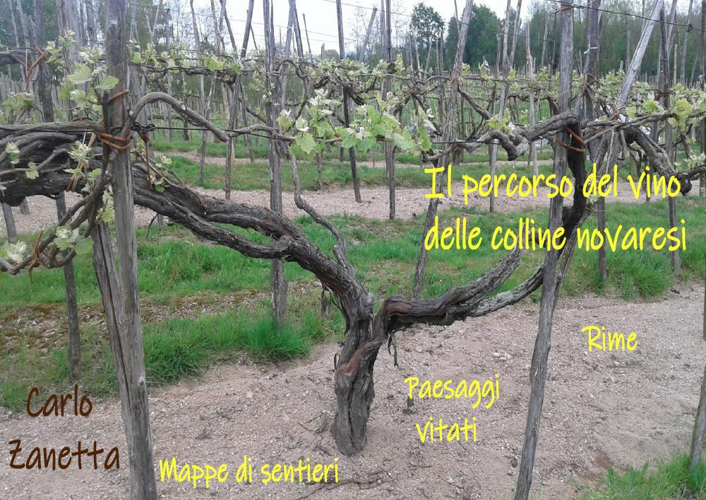 Il percorso del vino delle colline novaresi. Rime, paesaggi vitati, mappe di sentieri