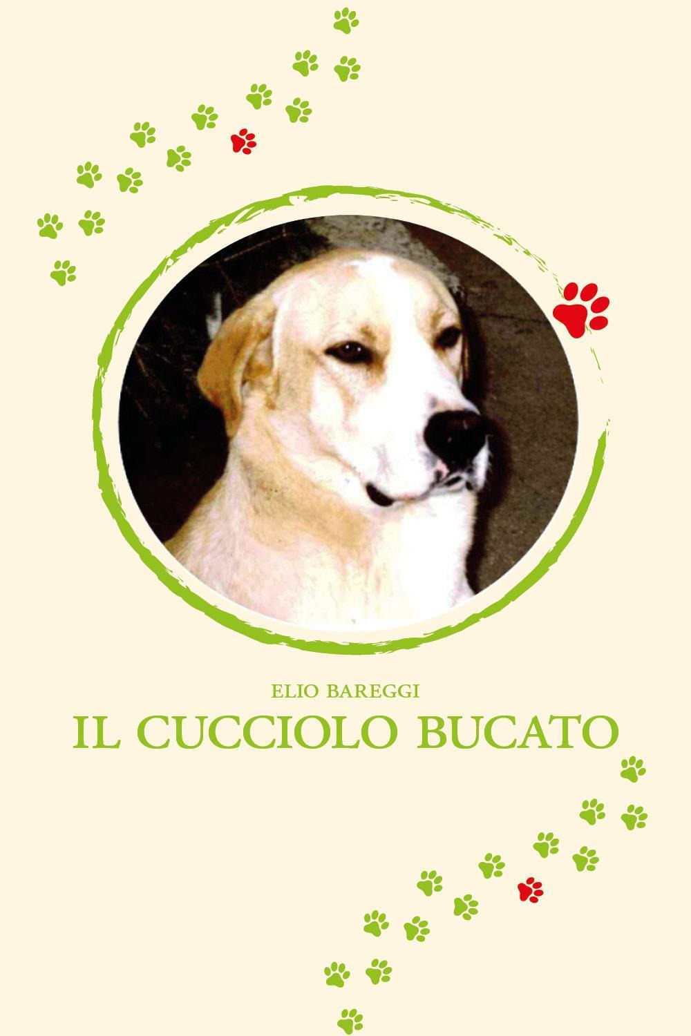 Il cucciolo bucato