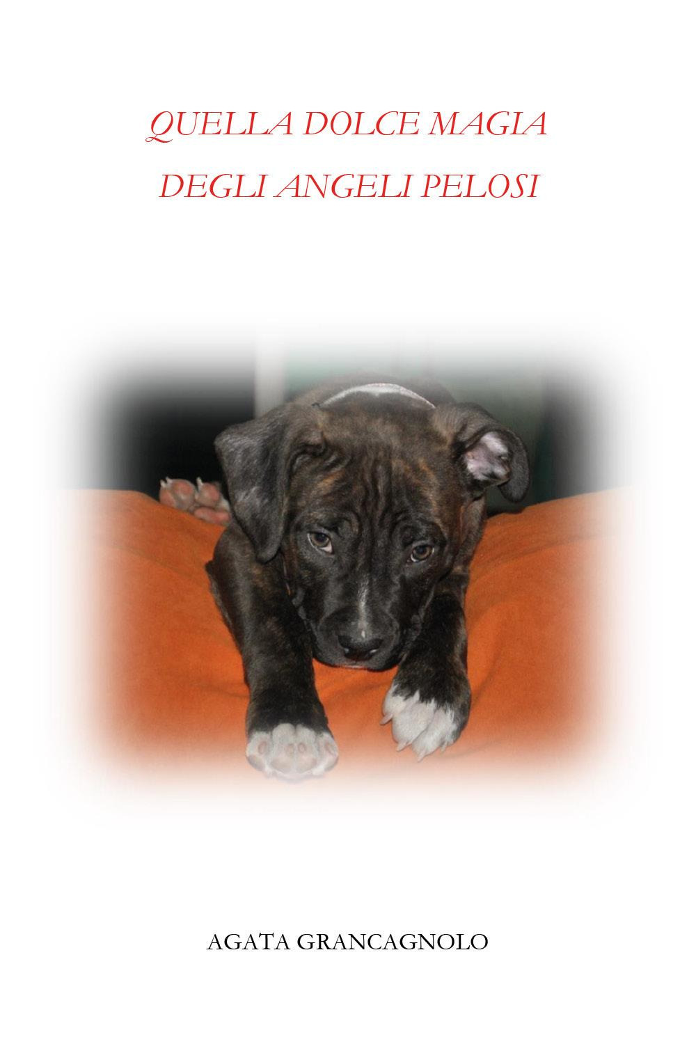 Quella dolce magia degli angeli pelosi