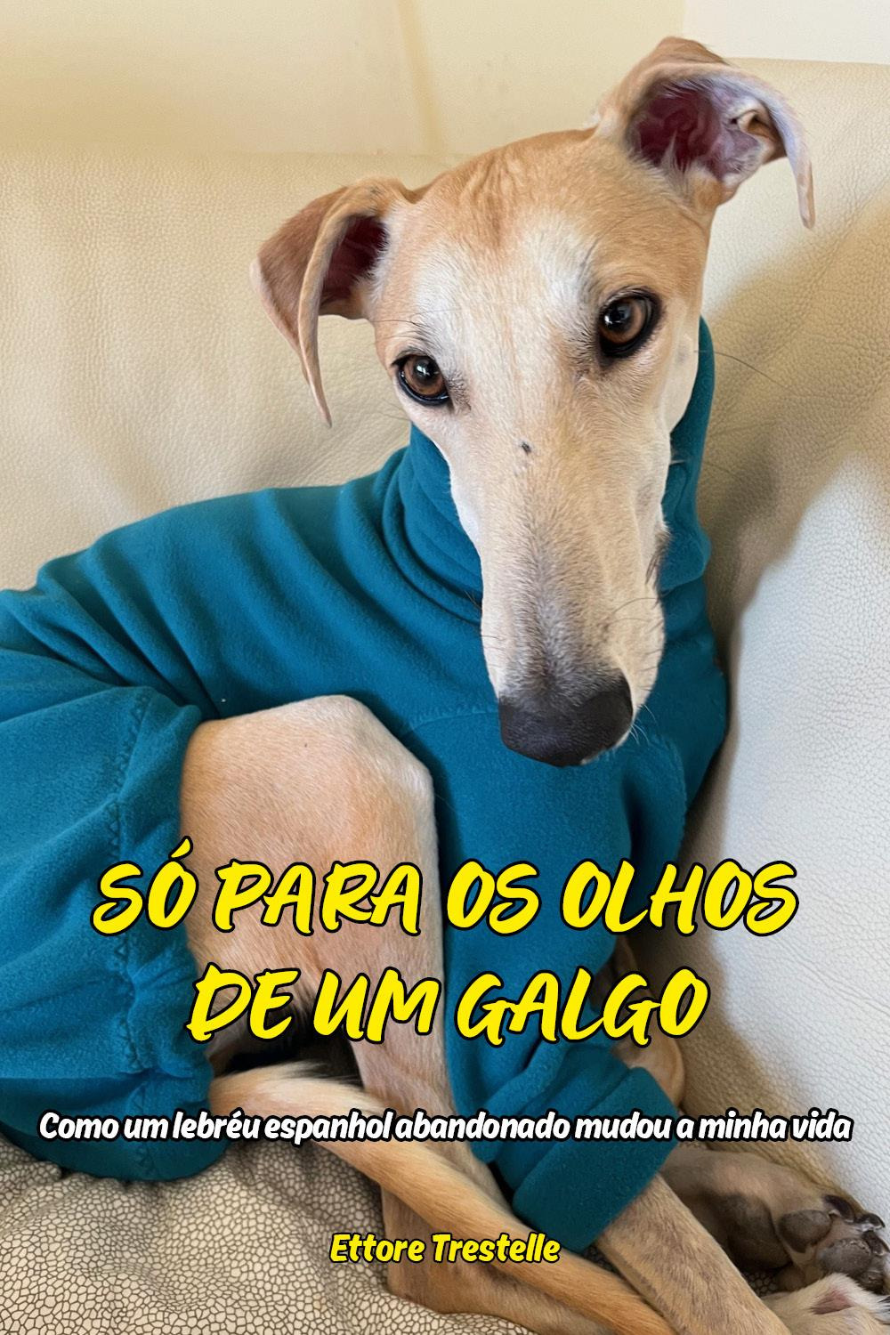 Só para os olhos de um galgo. Como um lebréu espanhol abandonado mudou a minha vida