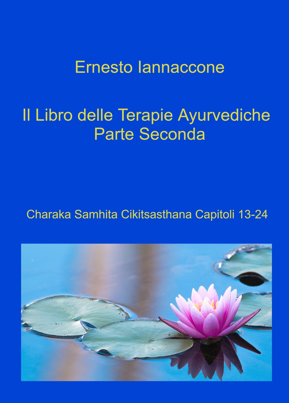 Il libro delle terapie ayurvediche. Vol. 2