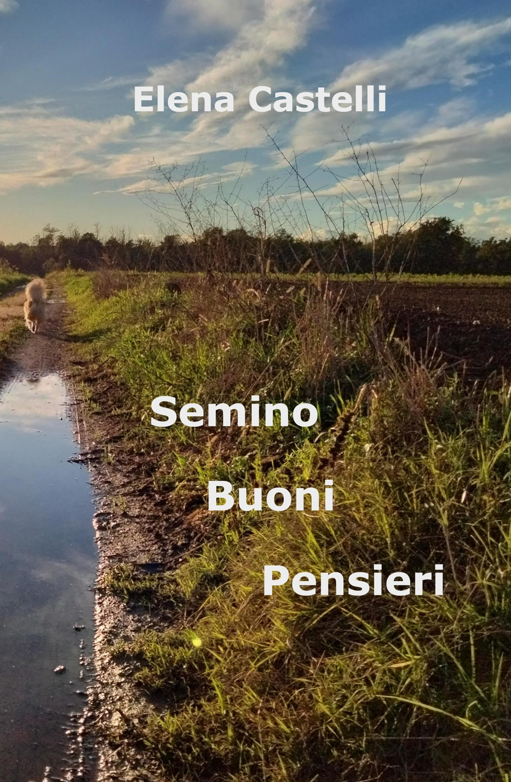 Semino Buoni Pensieri