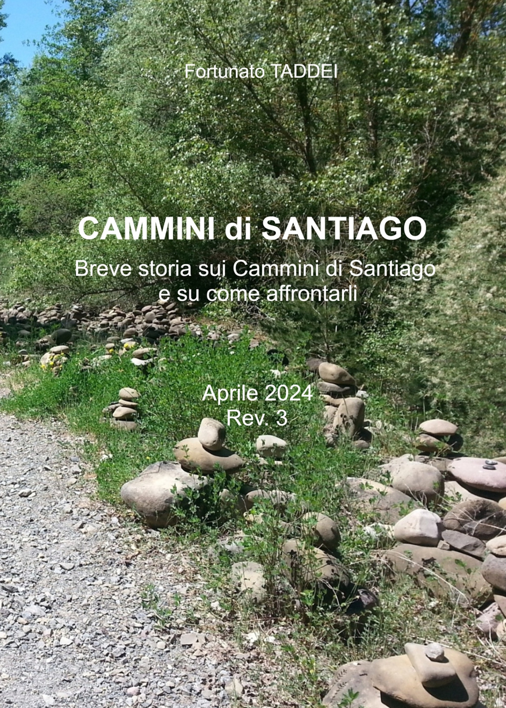 Cammini di Santiago. Breve storia sui cammini di Santiago e su come affrontarli