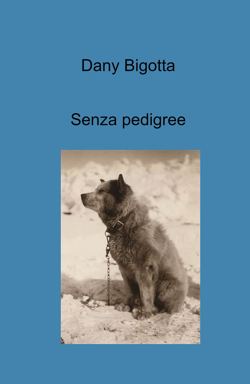 Senza pedigree