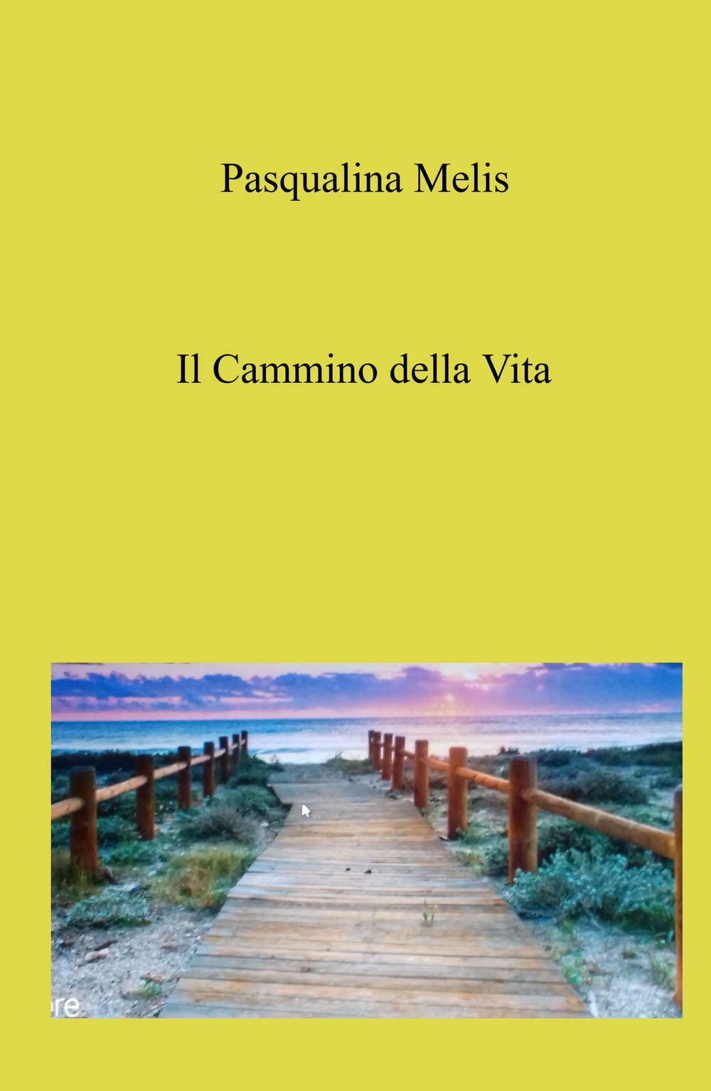 Il cammino della vita