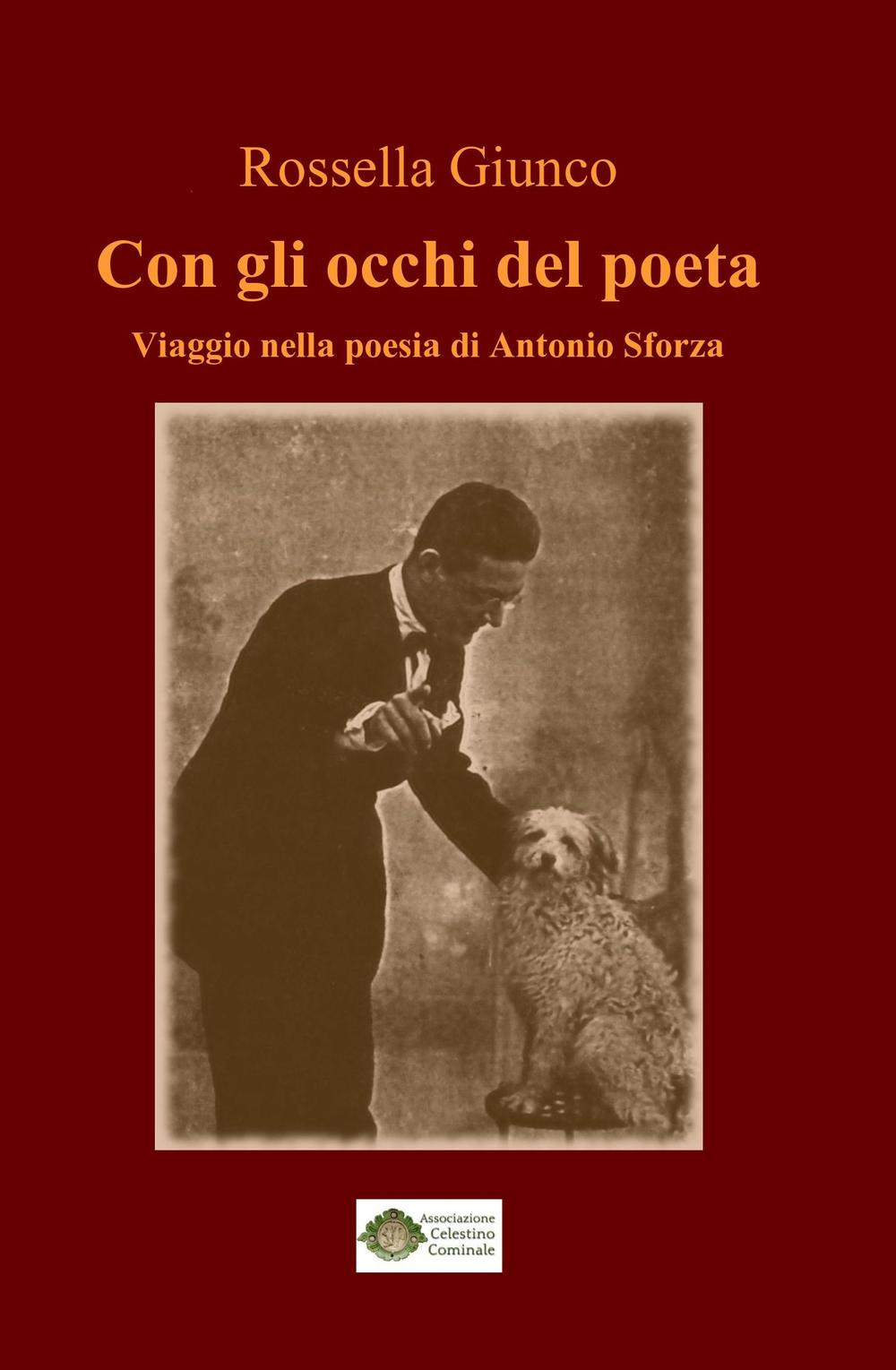 Con gli occhi del poeta. Viaggio nella poesia di Antonio Sforza