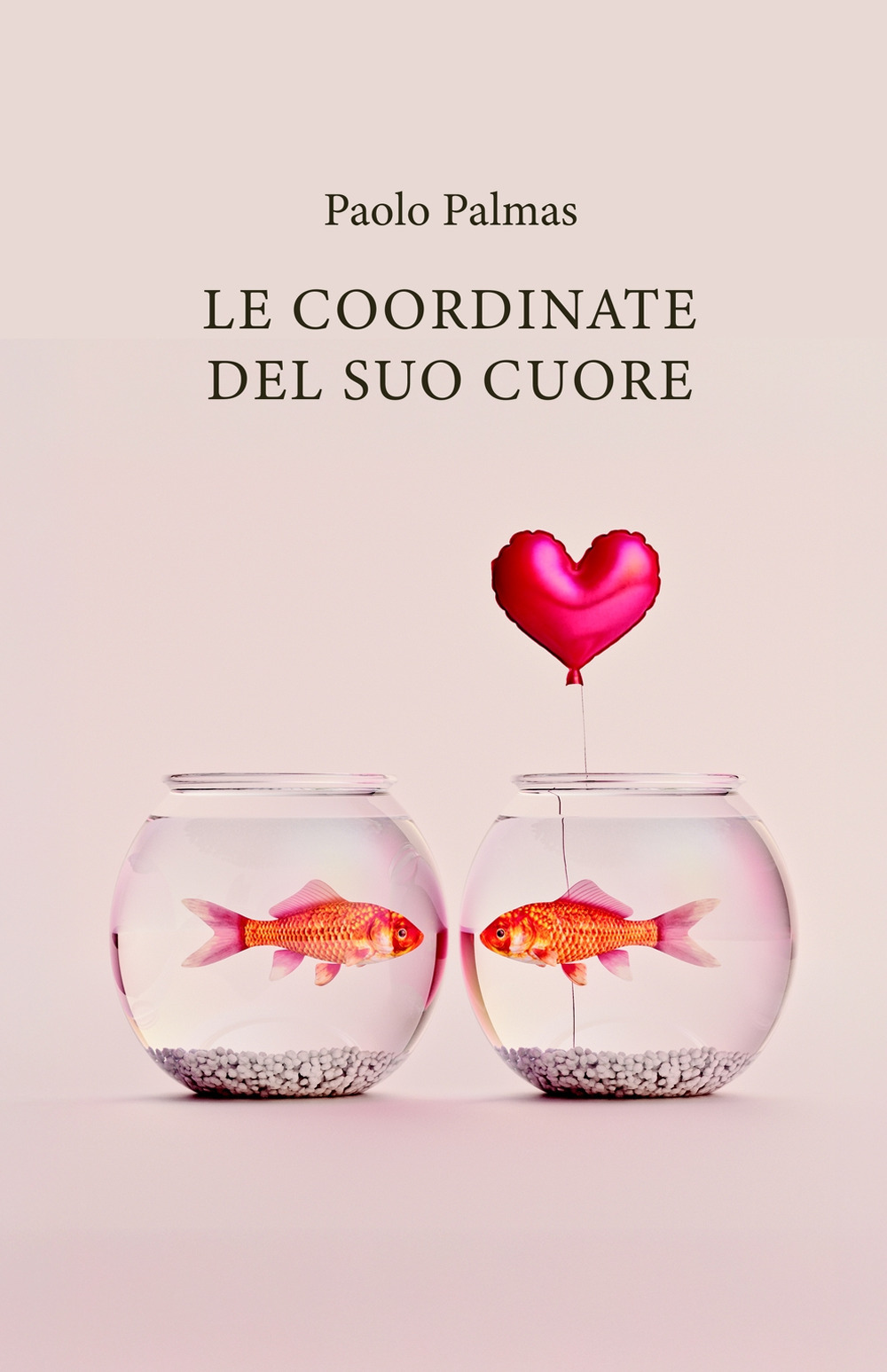 Le coordinate del suo cuore