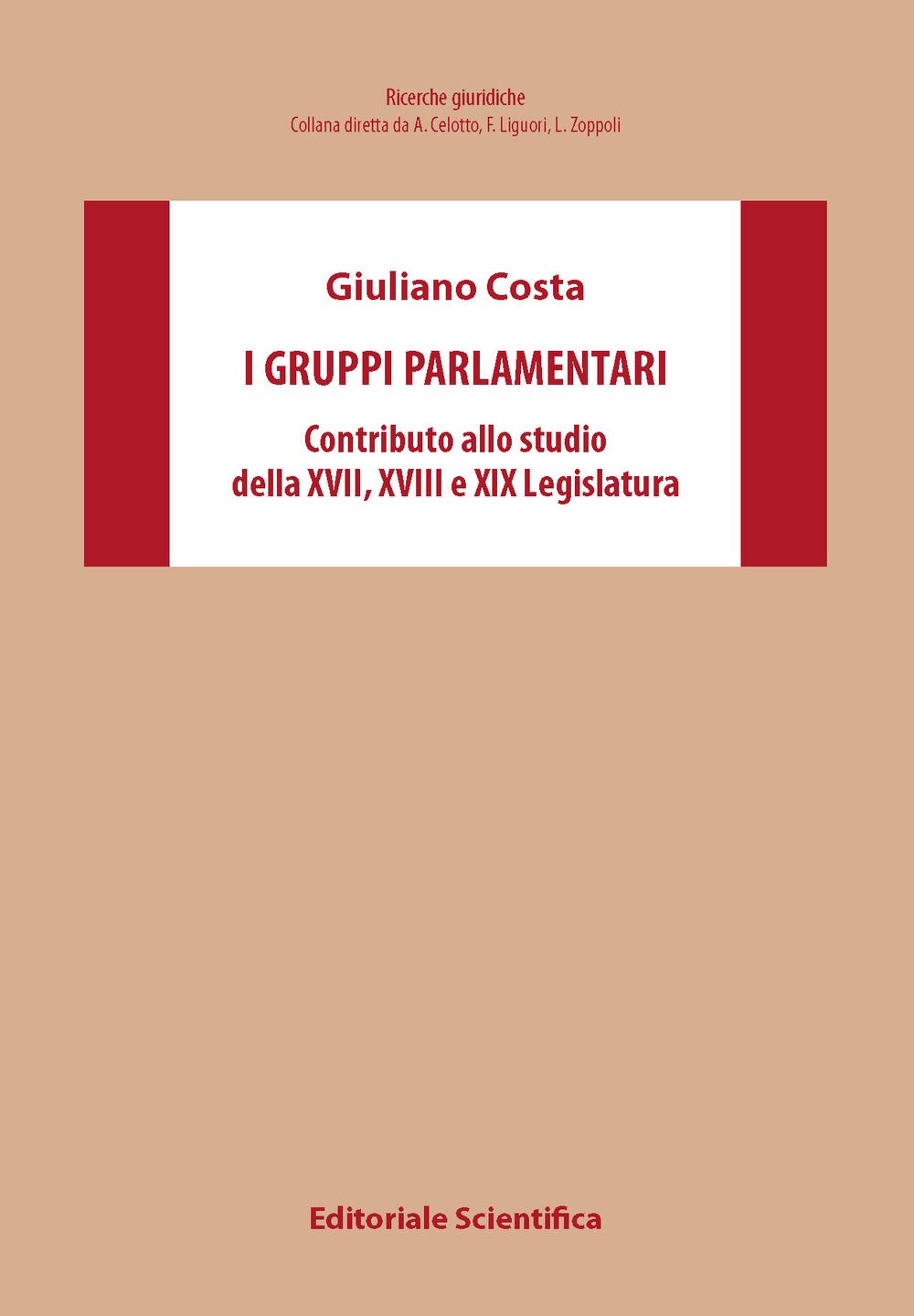 I gruppi parlamentari. Contributo allo studio della XVII,XVIII,XIX Legislatura