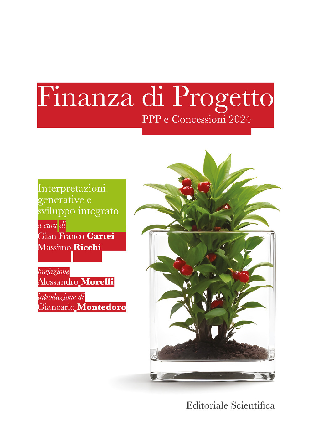 Finanza di progetto PPP e concessioni 2024. Interpretazioni generative e sviluppo integrato