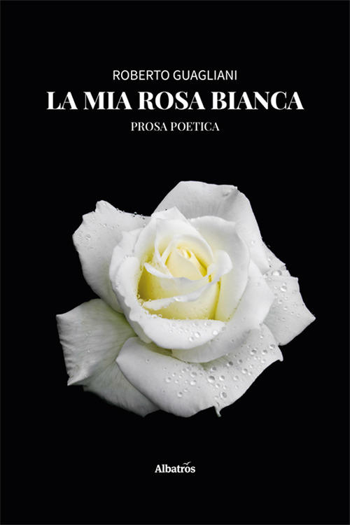 La mia rosa bianca