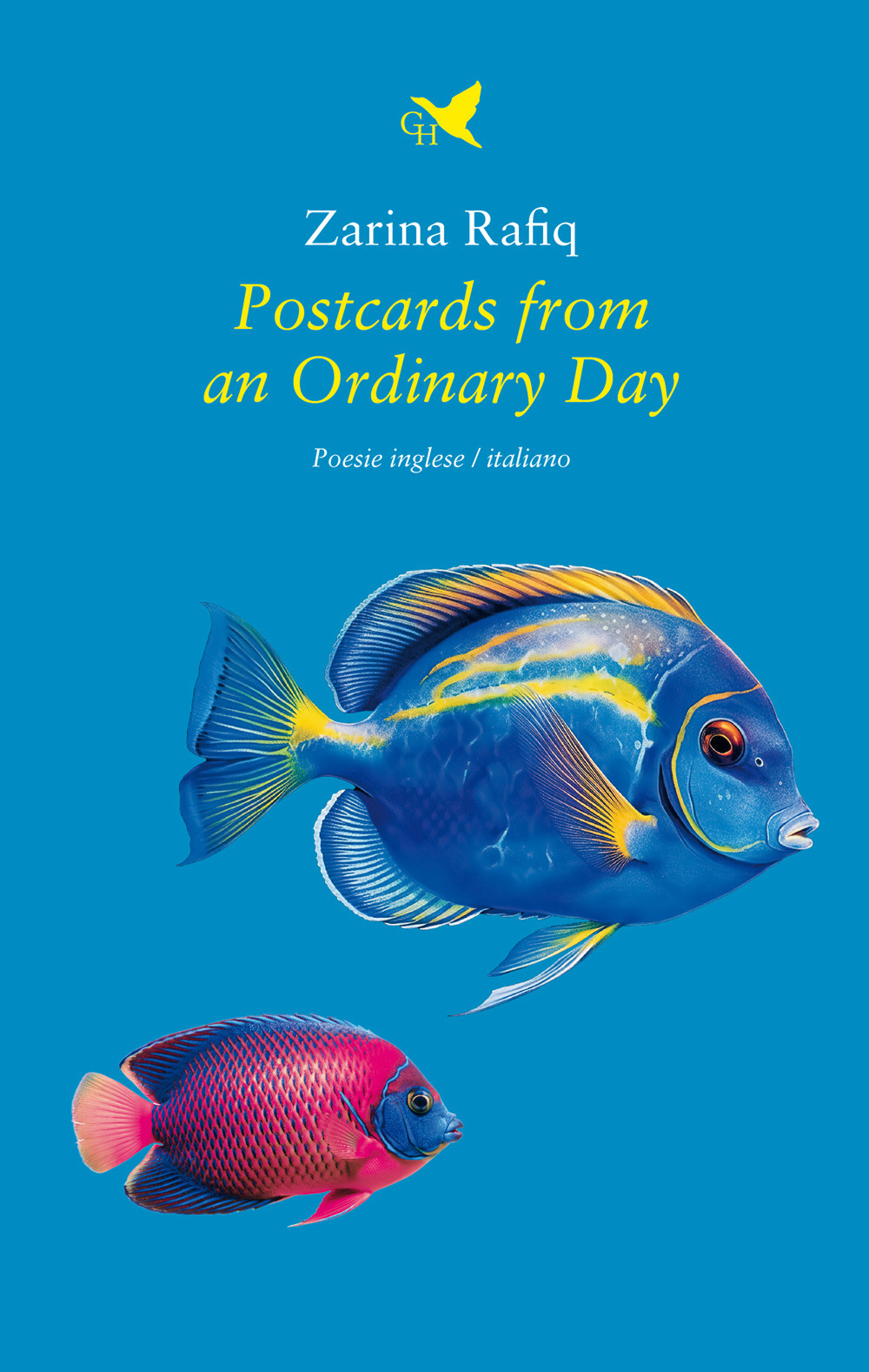 Postcards from an ordinary day