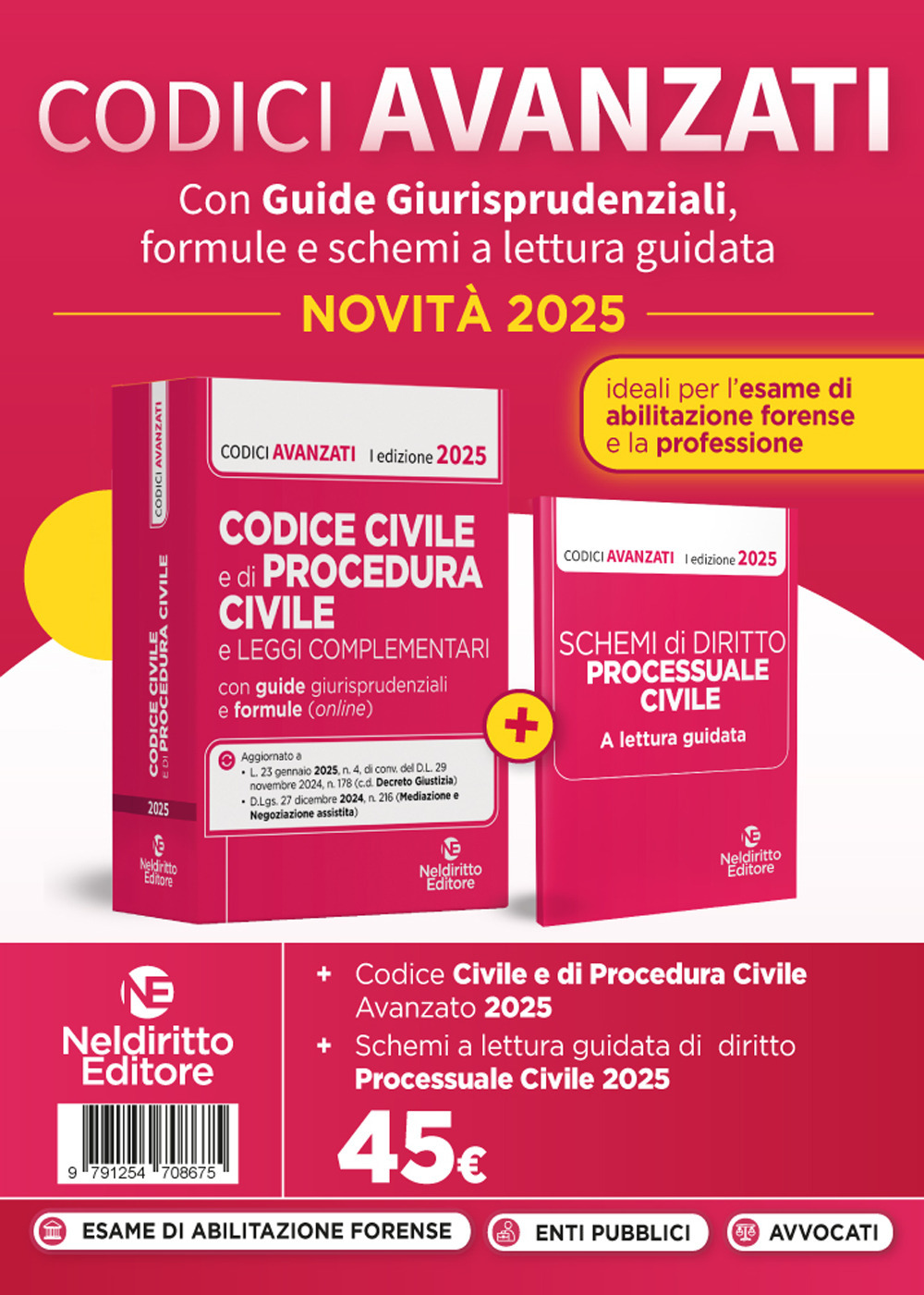 Codice civile con leggi complementari e codice di procedura civile. Nuova ediz.