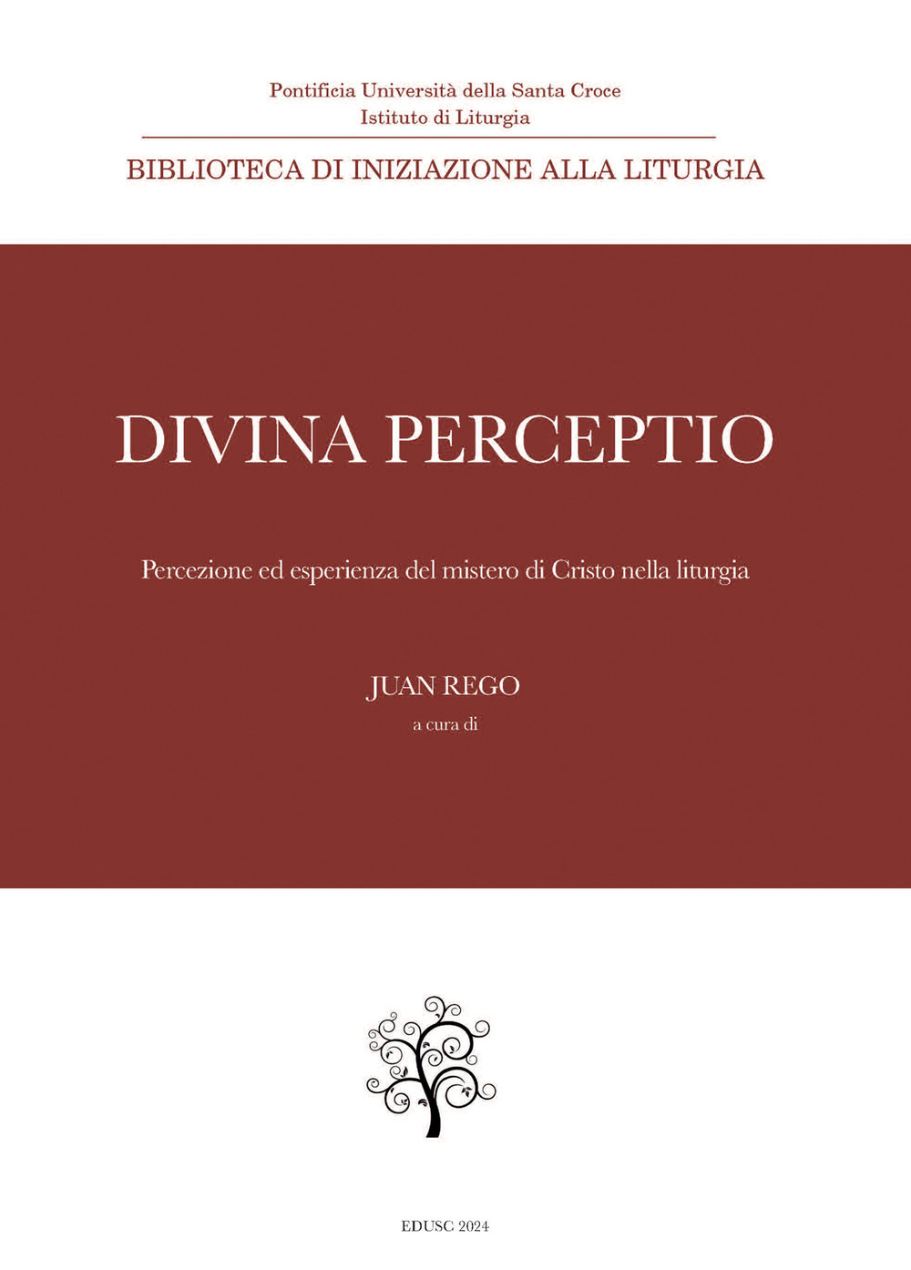 Divina perceptio. Percezione ed esperienza del mistero di Cristo nella liturgia